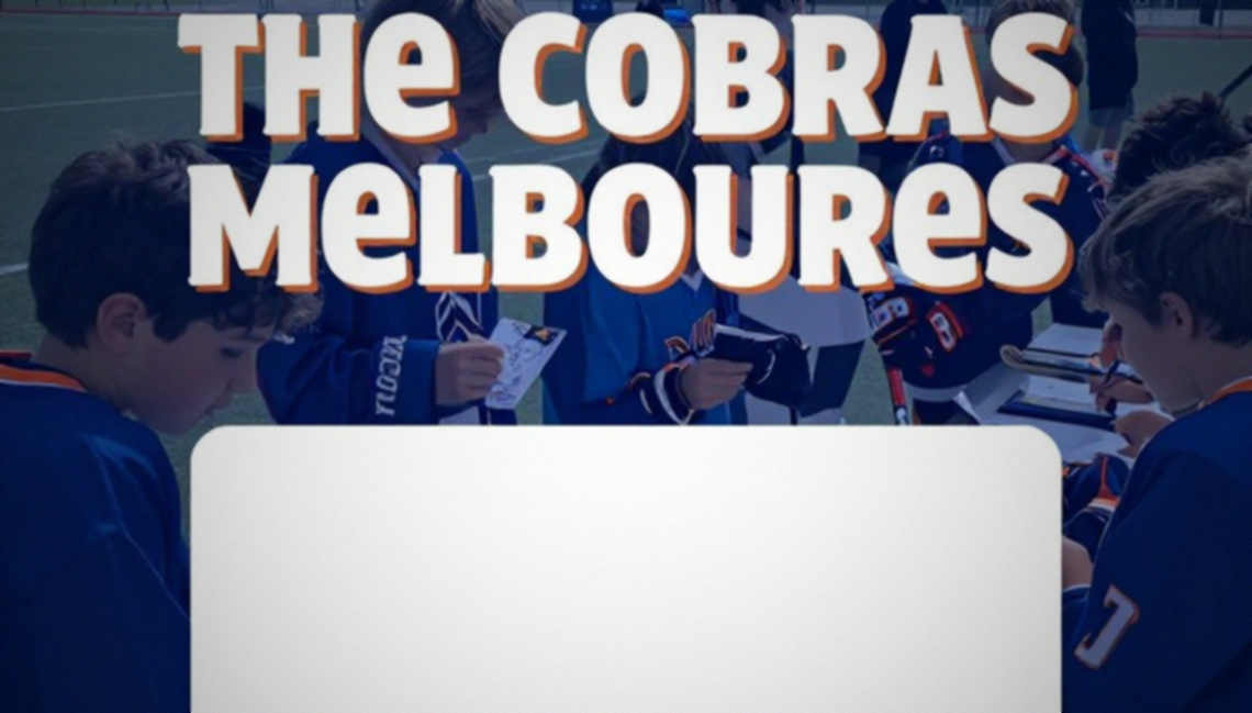 The Empty Ledger: Hockey Analysis and the Page With No Rows